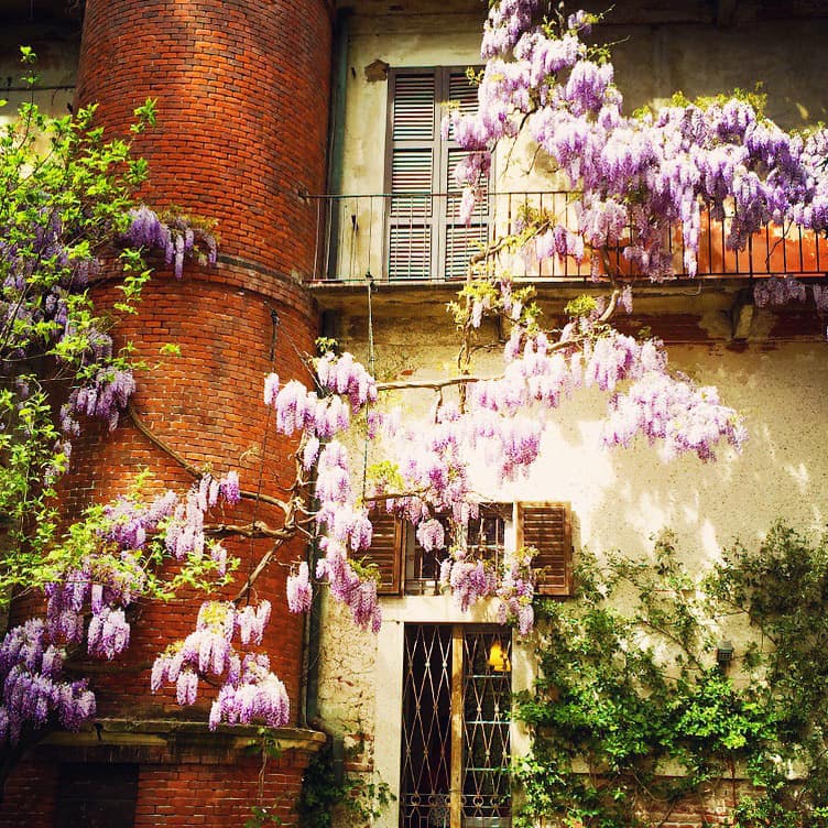 Brera Botanical Garden