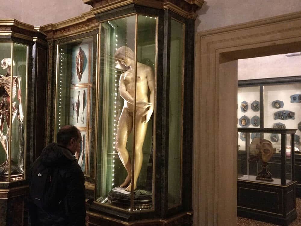 Palazzo Poggi Anatomical Wax