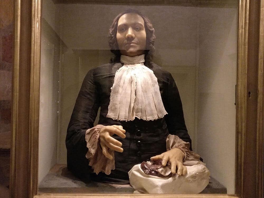 Palazzo Poggi Anatomical Wax