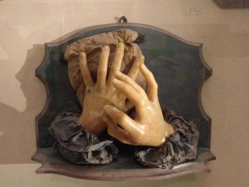 Palazzo Poggi Anatomical Wax