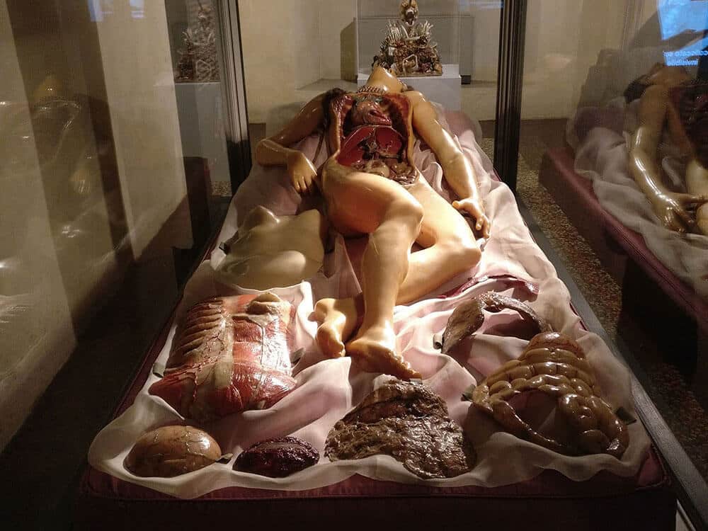 Palazzo Poggi Anatomical Wax