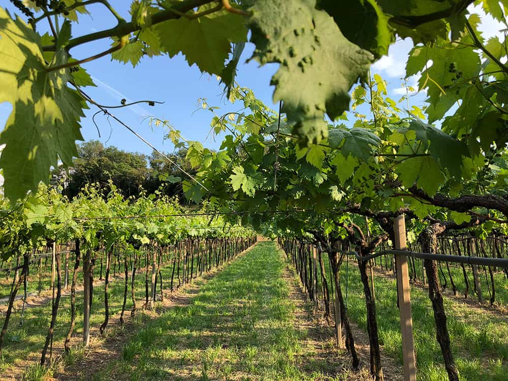 Soave Castle