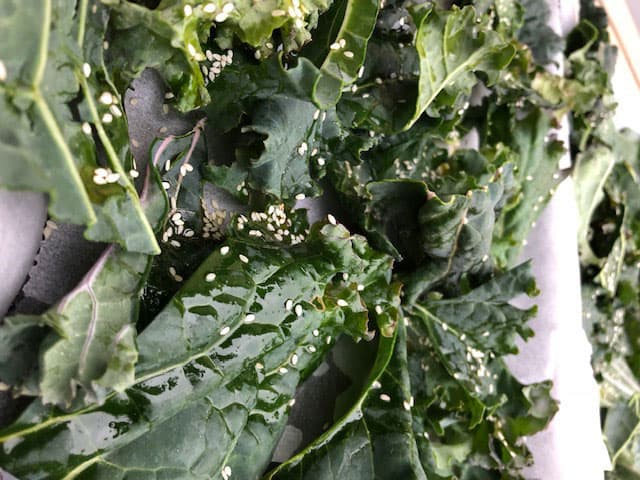 Kale Chips : An Italian Recipe for a Super Food 2