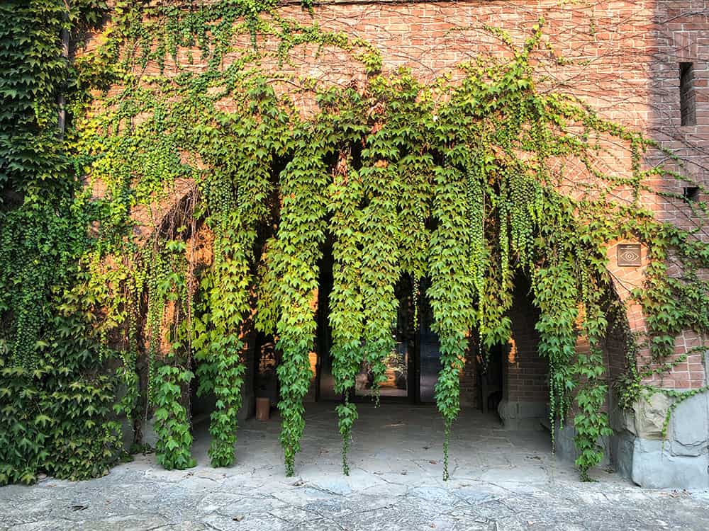 Museo della Merda - Castelbosco