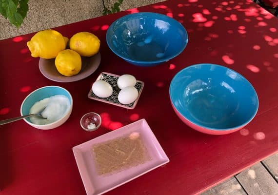 Italian Lemon Mousse Recipe : And to think we are on a diet!