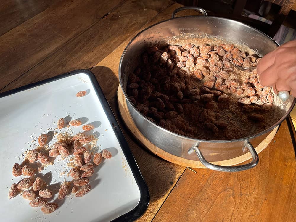 Sugared Almonds Italian Style