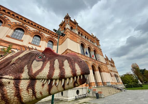 The Diorama – The Deception of Motionless Nature